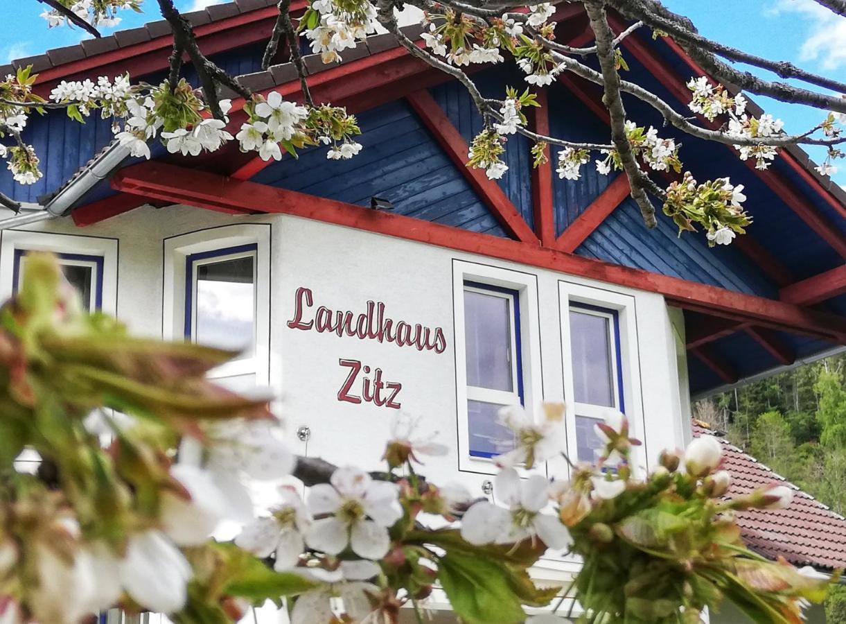 Apartament Zitz Ranten